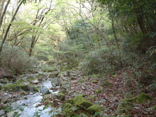 c0077338_112271.jpg