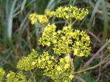 c0077338_1440342.jpg