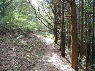 c0077338_14414119.jpg