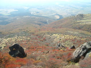 c0077338_2304366.jpg