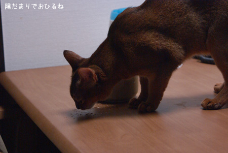 c0132438_2241348.jpg