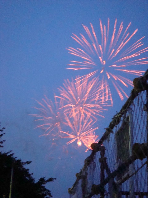 a0046339_1551169.jpg