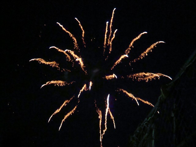 a0046339_1595426.jpg