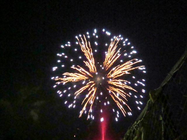 a0046339_203769.jpg