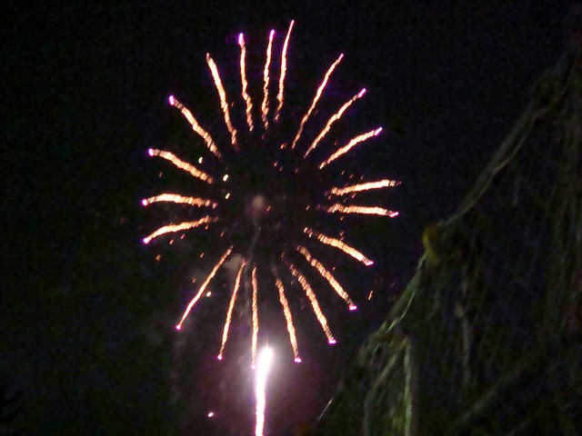 a0046339_21713.jpg