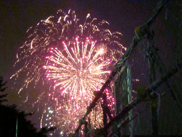 a0046339_224276.jpg