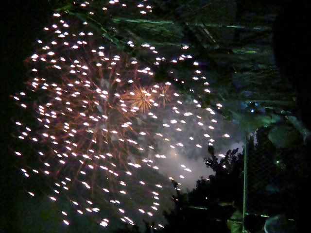 a0046339_254397.jpg