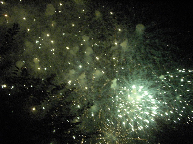 a0054043_10184626.jpg