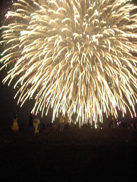 a0054043_937339.jpg