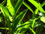 a0022951_2341720.jpg