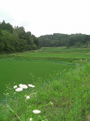 f0009451_13595131.jpg