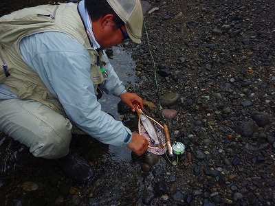 c0097652_2044514.jpg