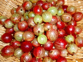 e0004756_21104690.jpg