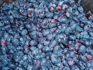 e0004756_2191512.jpg