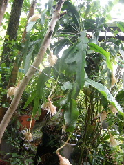 f0043559_90524.jpg