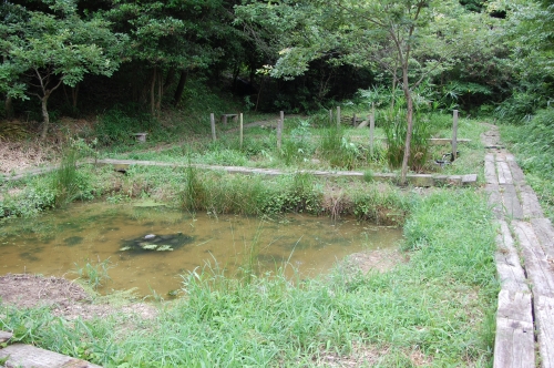 c0108460_15493211.jpg