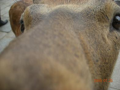 f0160860_0503885.jpg
