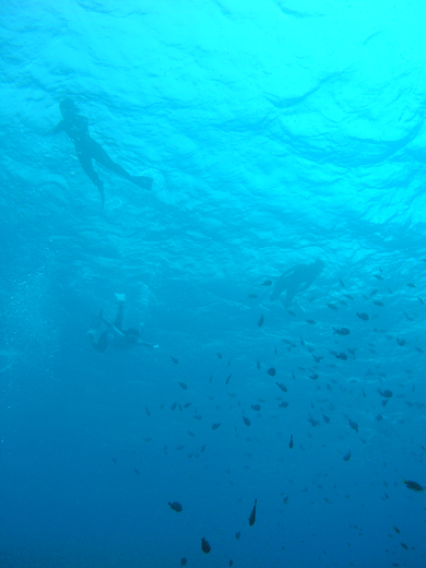 b0062363_21143529.jpg