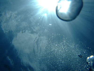d0102664_22264750.jpg