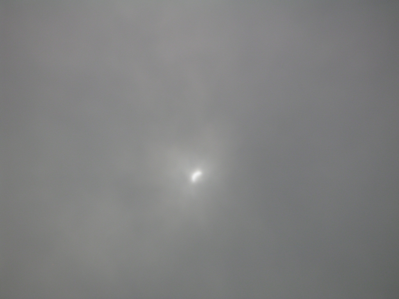 a0111166_2025255.jpg