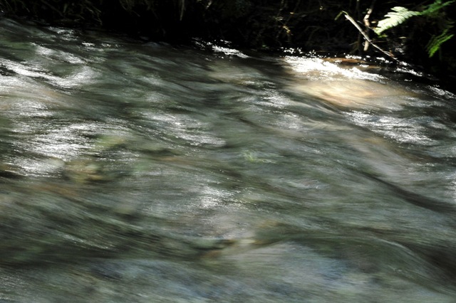 b0131167_16555982.jpg