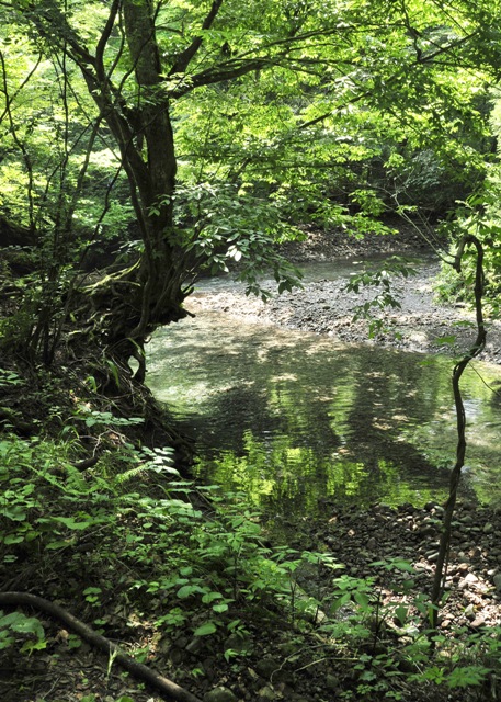b0131167_1657553.jpg