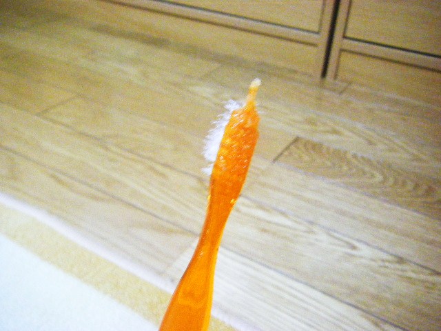 f0207970_8222436.jpg