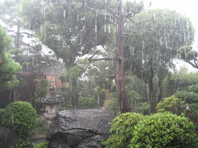 e0106372_1115366.jpg