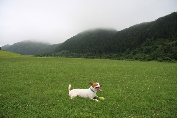 f0132772_20401915.jpg