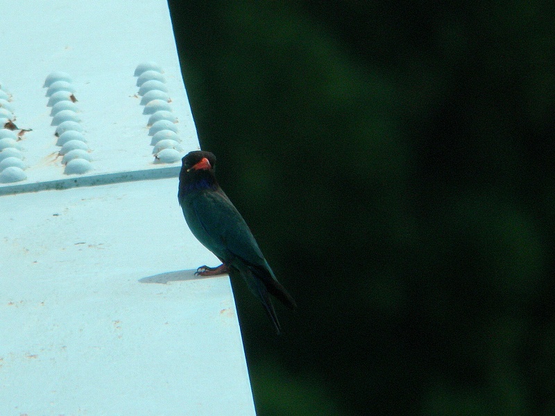 f0137673_15432774.jpg