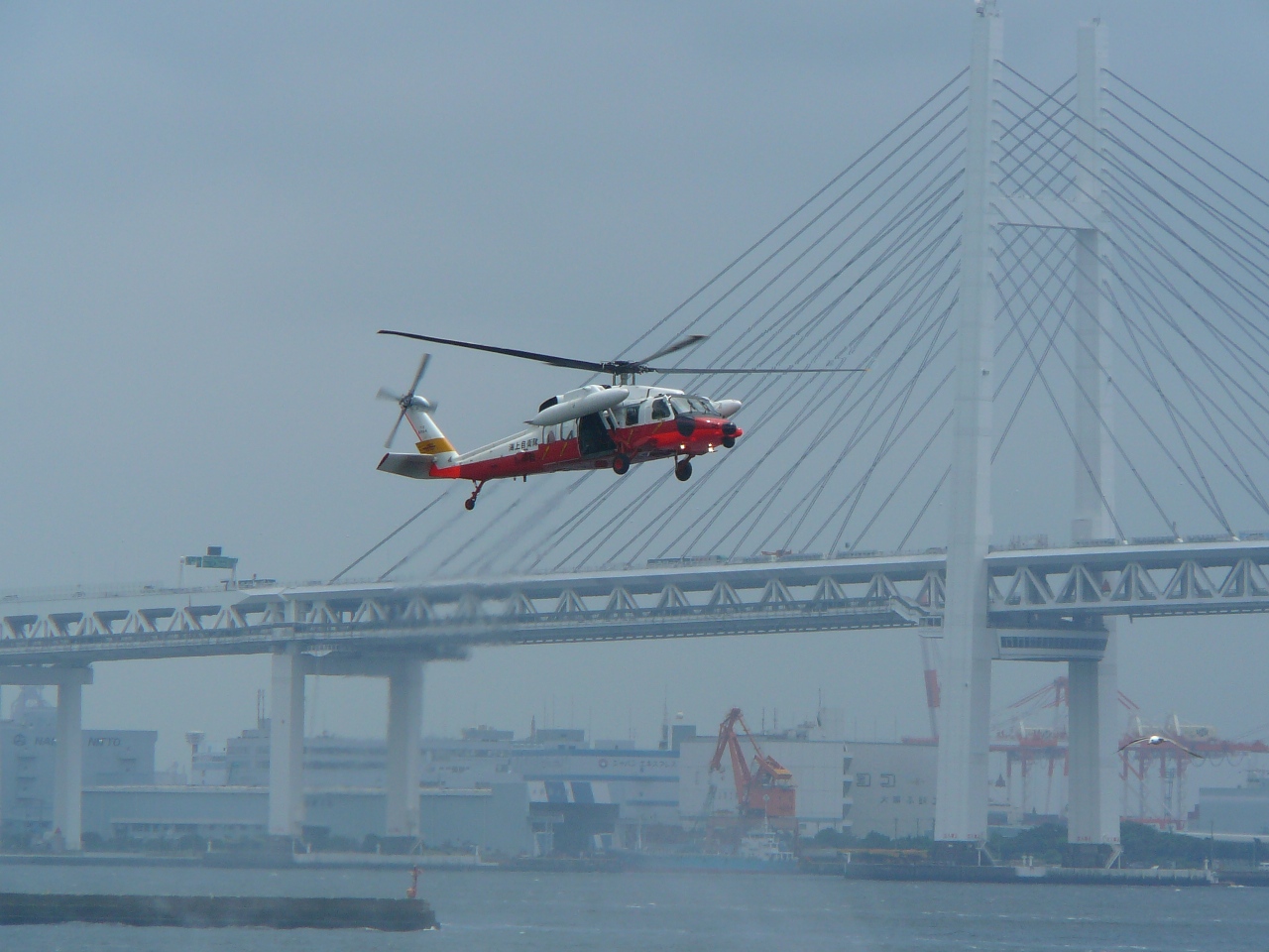 d0104974_10113757.jpg