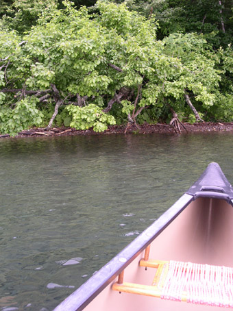 e0118274_21151976.jpg