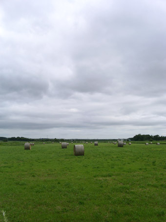 e0118274_2122563.jpg