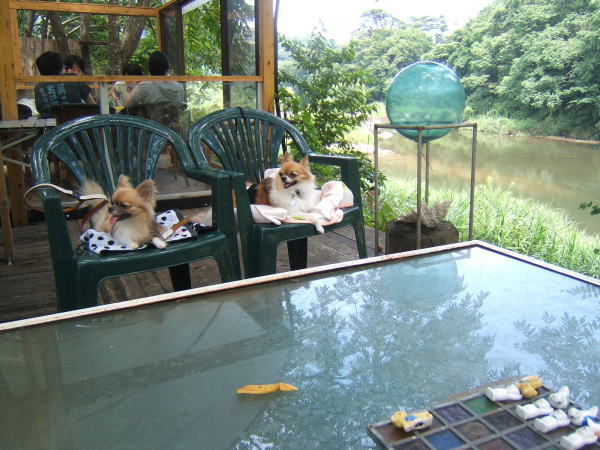 f0145575_2181266.jpg