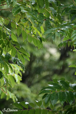 b0139477_23424879.jpg