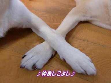 c0028792_22545957.jpg