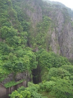 b0184396_2353125.jpg