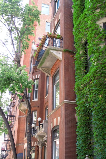 c0192396_142781.jpg