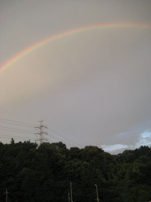 f0201297_21172412.jpg
