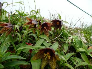 b0061798_10255349.jpg