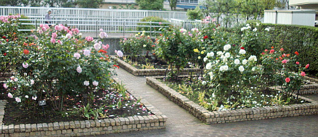 c0138198_203756100.jpg