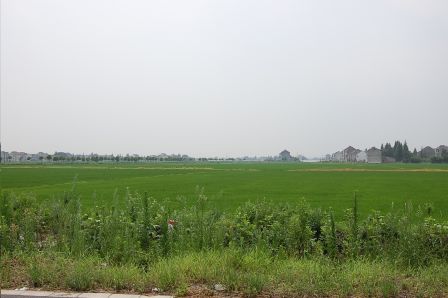 d0090300_16343013.jpg