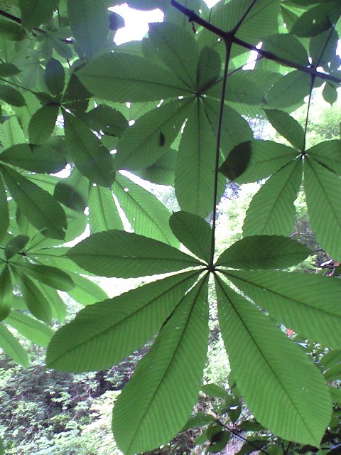 b0083902_19441453.jpg