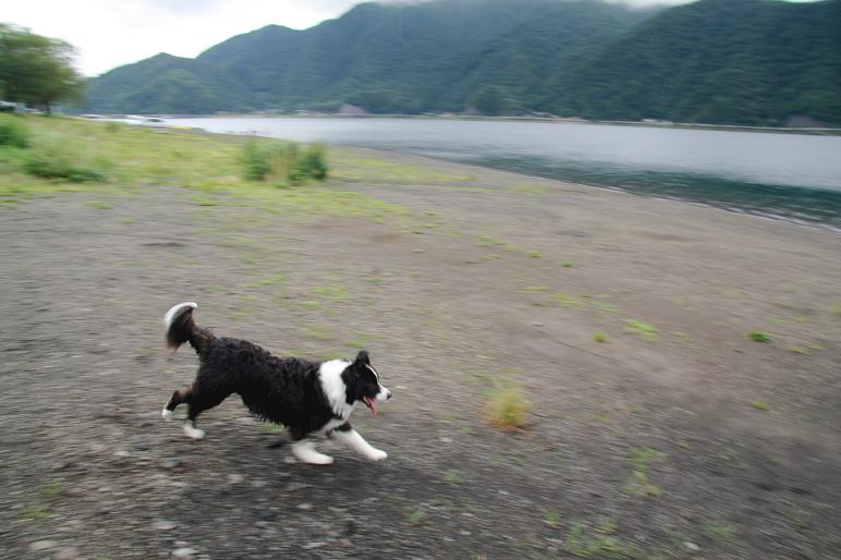 f0034602_20475368.jpg