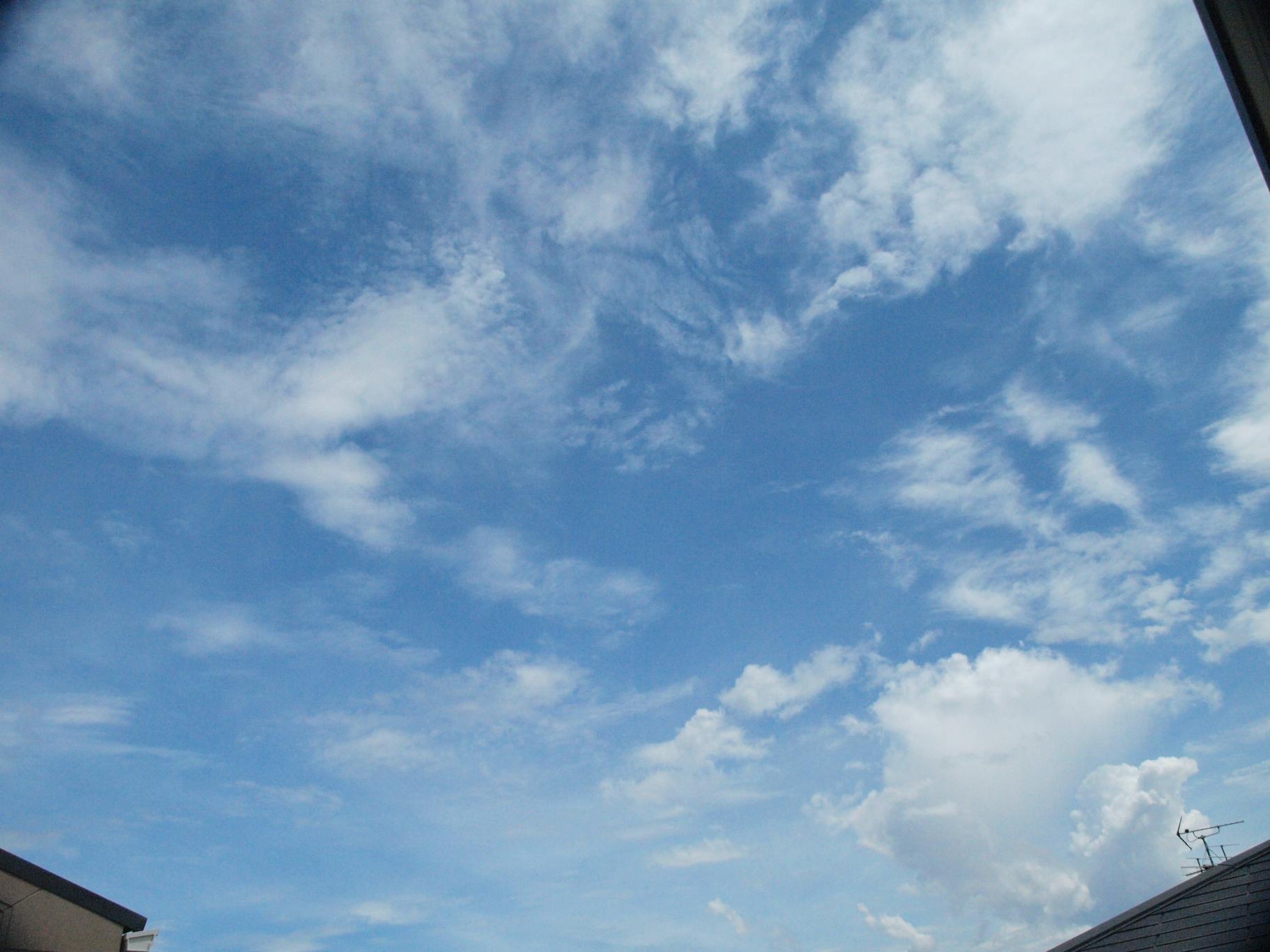 d0071507_19344118.jpg