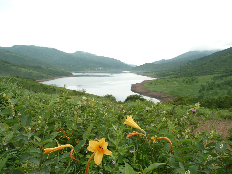 d0126708_14183061.jpg