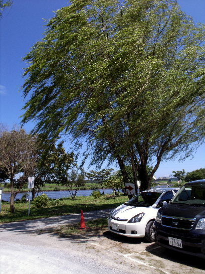 e0102408_2257419.jpg