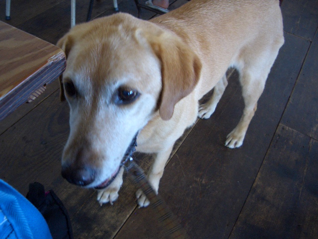 c0116610_1224087.jpg