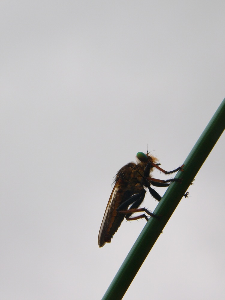 c0062511_2126567.jpg
