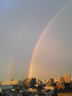 d0000212_23264278.jpg